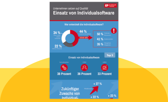 Einsatz von Individualsoftware