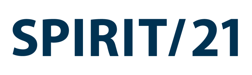 Vendor Insights Spirit 21